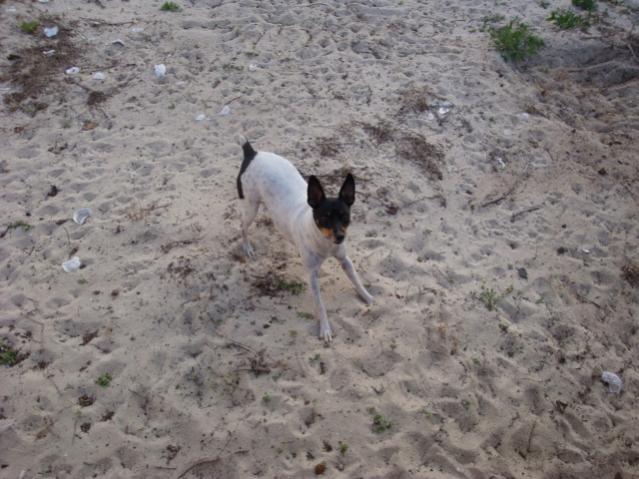 Lets play Getcha, bet you can't get me?