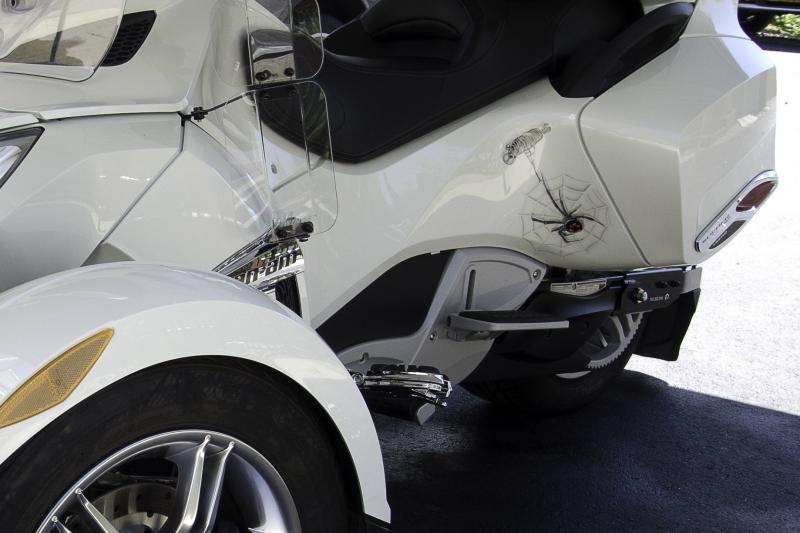 Lisa Spyder 1 For Bonehead (1 of 1)