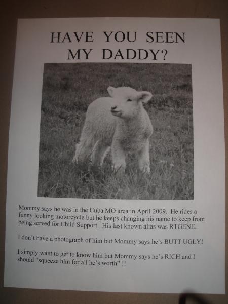 Little lost sheep...