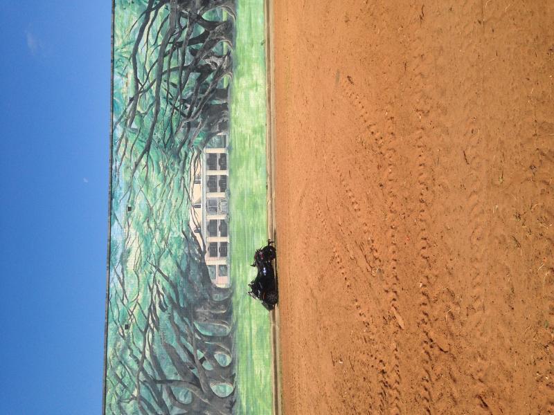 Local mural Bossier LA