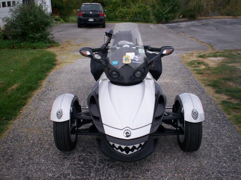 looks hungry but won't bite