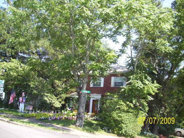 Lots of patriotism in Greeneville, TN.