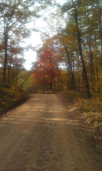 Me on a log road.  Two wheelers couldn't have handled that road, yet not too rough to need an ATV.  Our Spyders rocked them all.