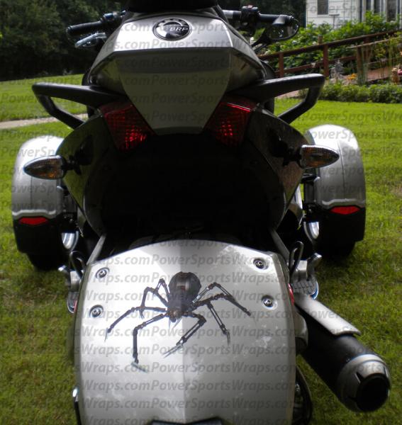 Mechanical spider decal for rear fender of RS. Powersportswraps.com  814-838-6377