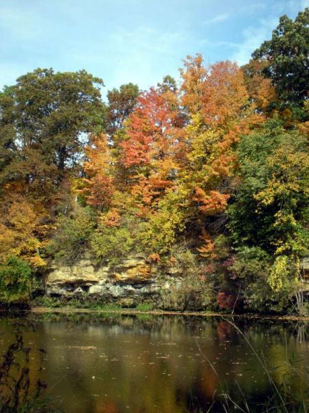 Michigan Color Tour 2011
Fitzgerald Park
Grand Ledge, MI