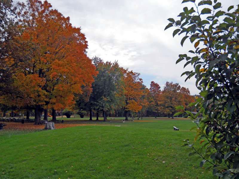 Michigan Color Tour 2011
Fitzgerald Park
Grand Ledge, MI