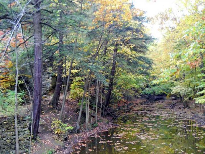 Michigan Color Tour 2011
Fitzgerald Park
Grand Ledge, MI