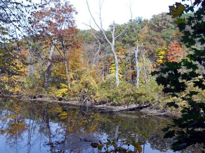 Michigan Color Tour 2011
Fitzgerald Park
Grand Ledge, MI