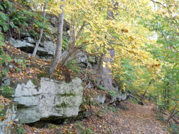 Michigan Color Tour 2011
Fitzgerald Park
Grand Ledge, MI