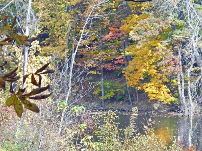 Michigan Color Tour 2011
Fitzgerald Park
Grand Ledge, MI