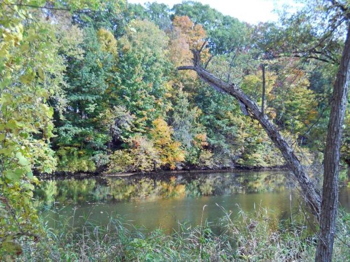Michigan Color Tour 2011
Fitzgerald Park
Grand Ledge, MI