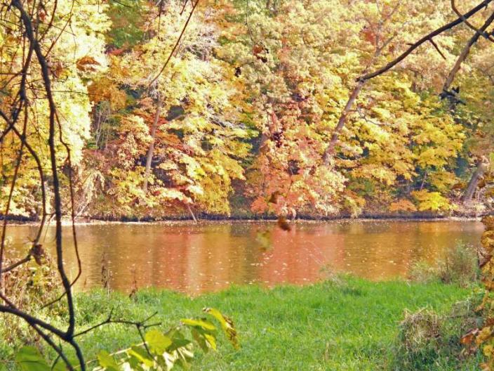 Michigan Color Tour 2011
Fitzgerald Park
Grand Ledge, MI