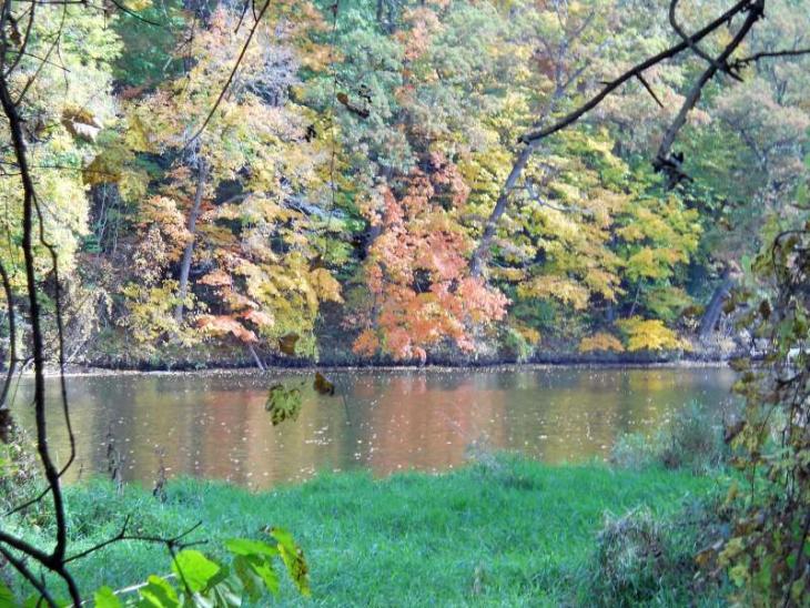 Michigan Color Tour 2011
Fitzgerald Park
Grand Ledge, MI