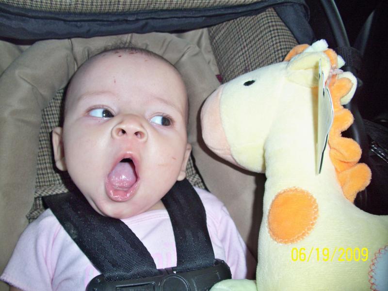 "Missy" at 3 months.  Wonder what she was thinking!