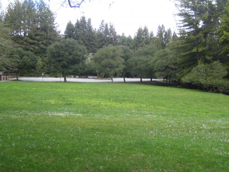 Miwok Shelter Recreation Area Huddart Park in Woodside