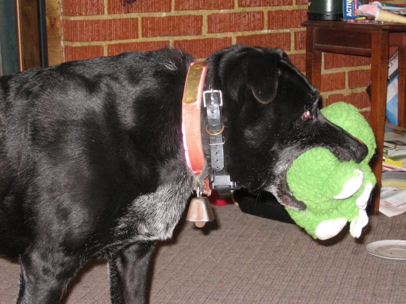 mmm...froggy!
