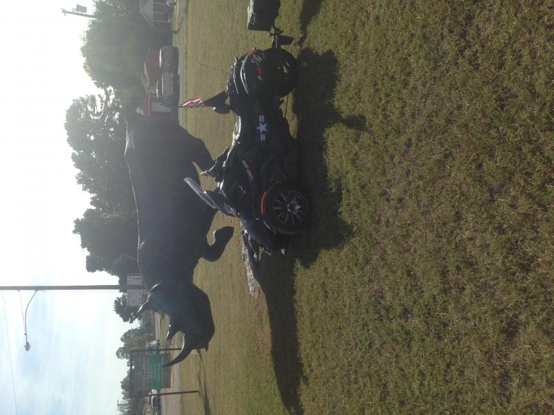 mom loves rhinos & found this in Jewett TX