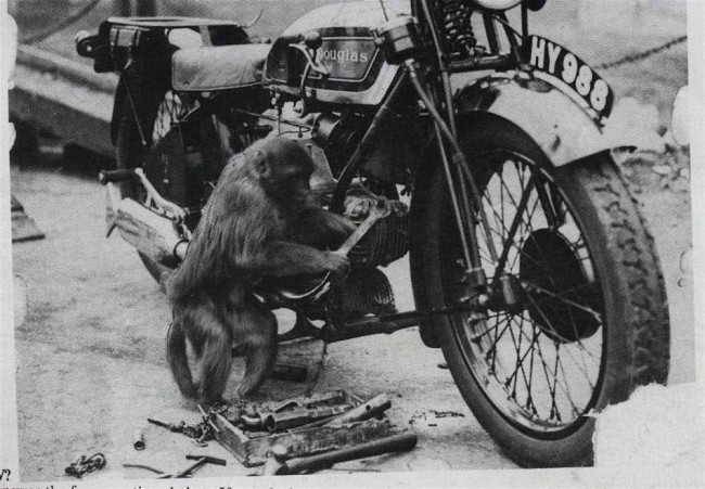 monkeymechanic