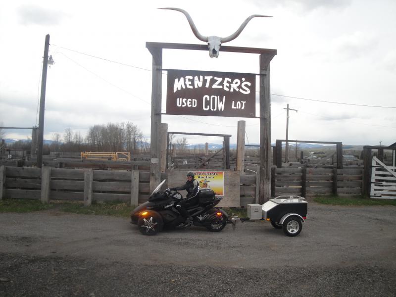 Montana - Used Cow Lot...