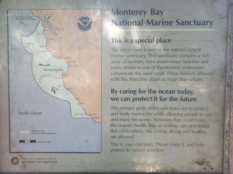 Monterey!