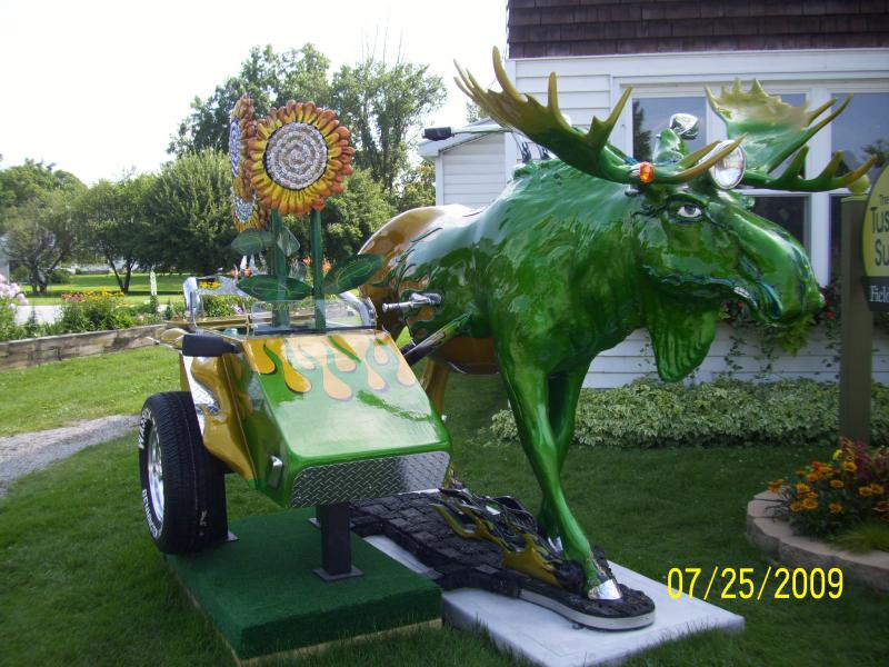 Moosefest 2009
