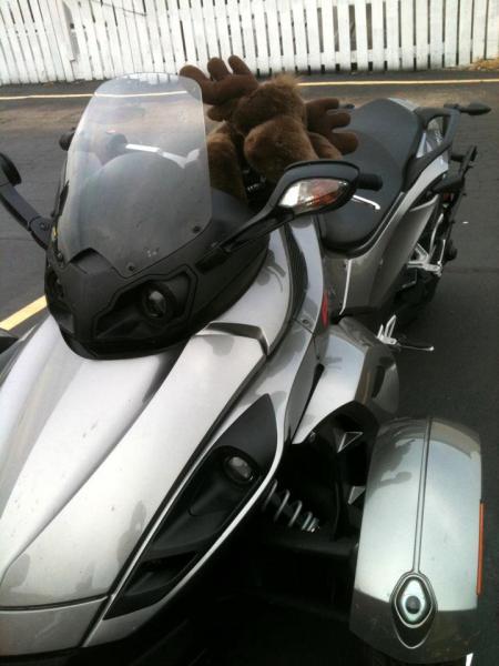 Moosie, after the long ride to get to Spyderfest