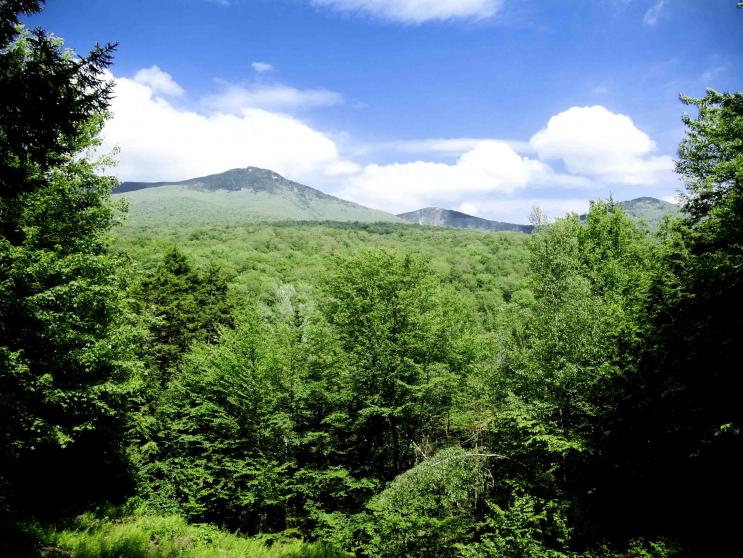 Mountains View (1 of 1)