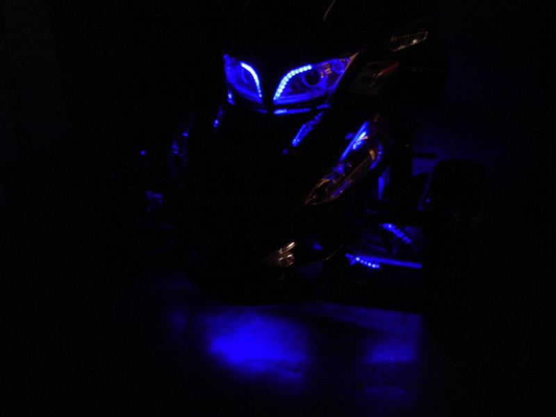 My black lights