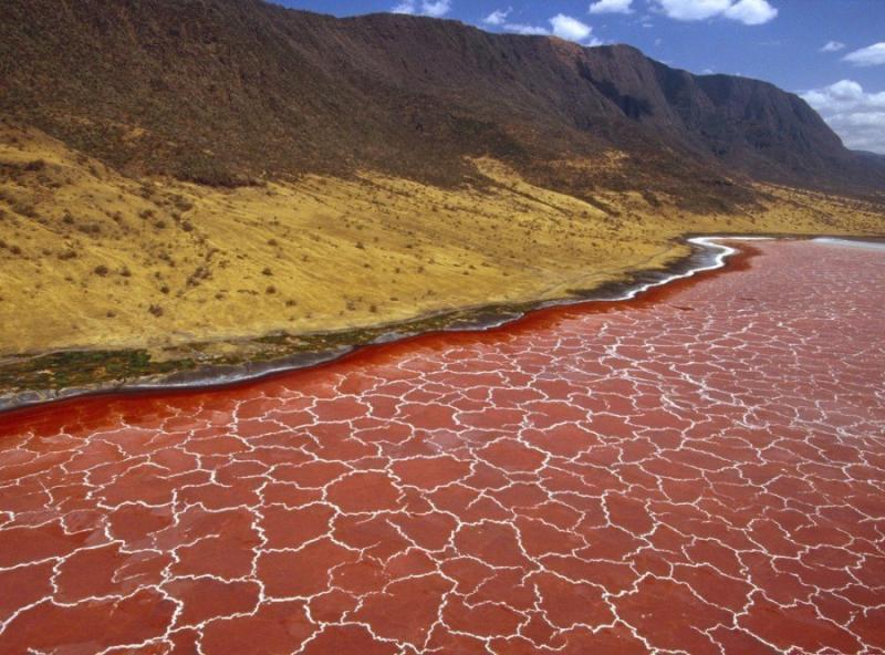 Natron Lake, Tanzania