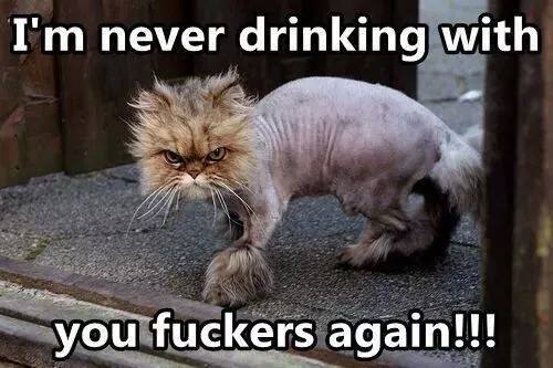 Never drinking again