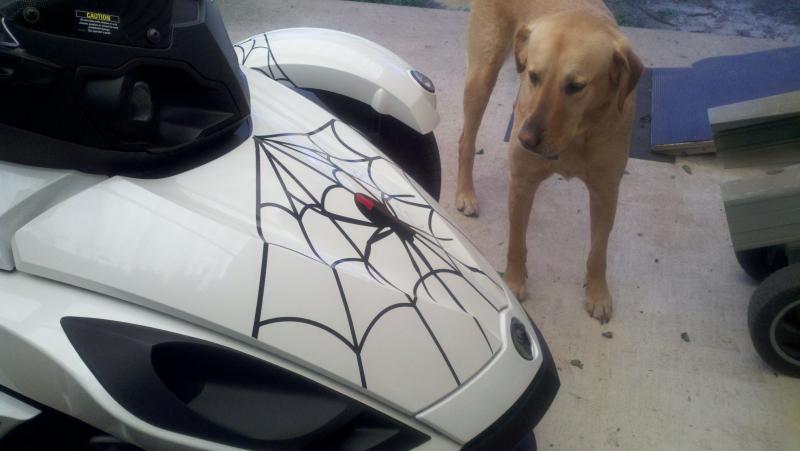 New Spider Graphics for my Spyder! Blondie is looking at the spider!
Got the Graphics on E-Bay and then had them applied in my town.
