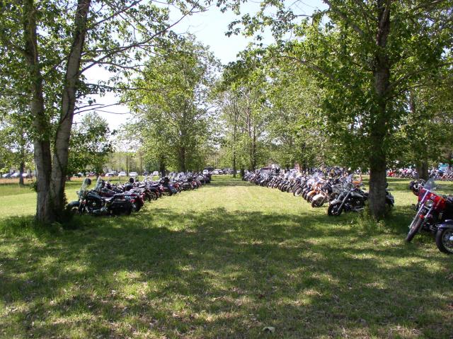 Nice spring day to party