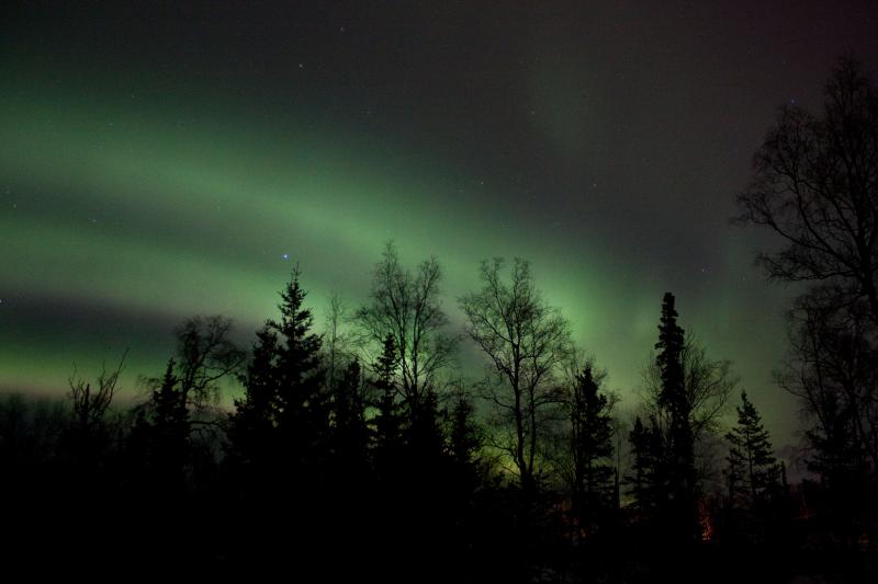 northern lights view from the house