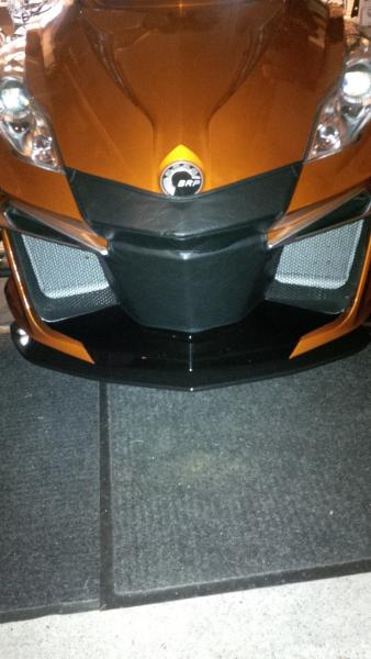 Nose bra from Big Bike Parts.com.