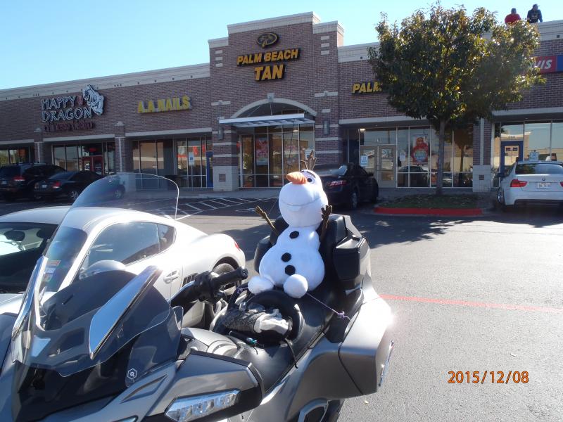 Olaf out for a cruise