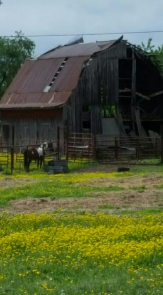 Old barn