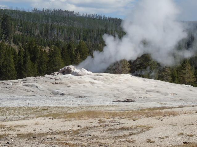 Old Faithful 1