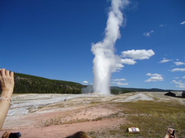 Old Faithful 5