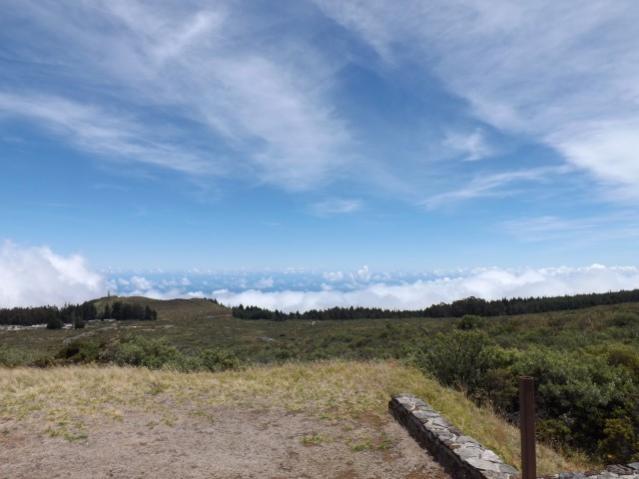 On the road--Haleakala