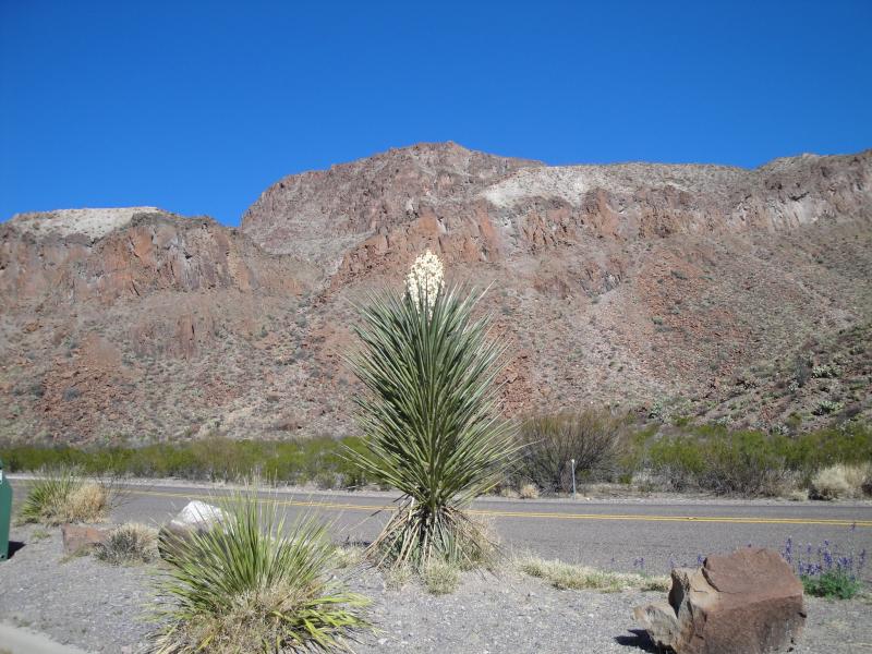 On the way to Presidio, 170
March 9, 2010