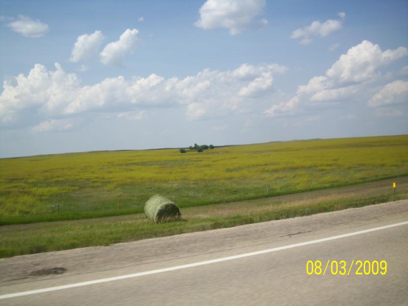 Other side of the road. Varies quite a bit.