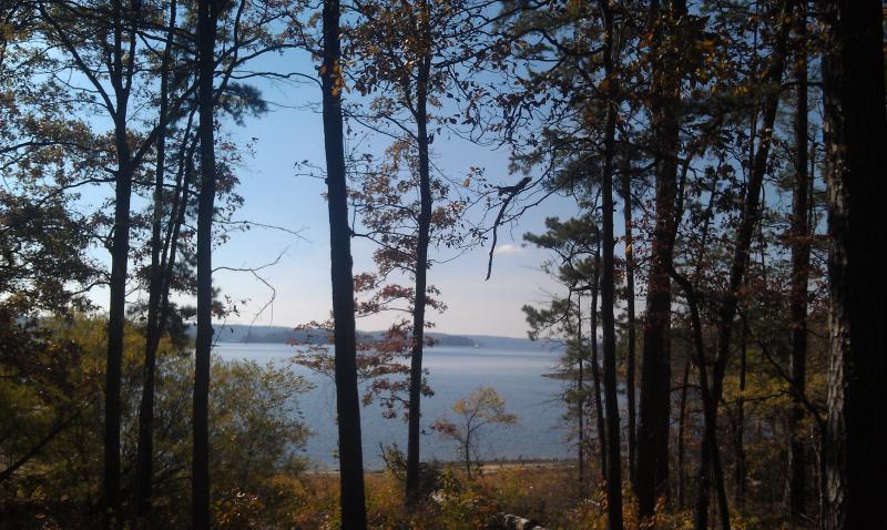 Ouachita National Forest.