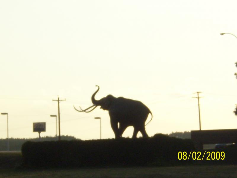 Our mammoth neighbor.