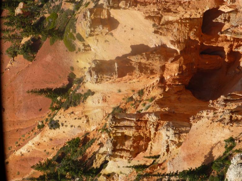 P1030953 Looking down into the Canyon,beautiful colors