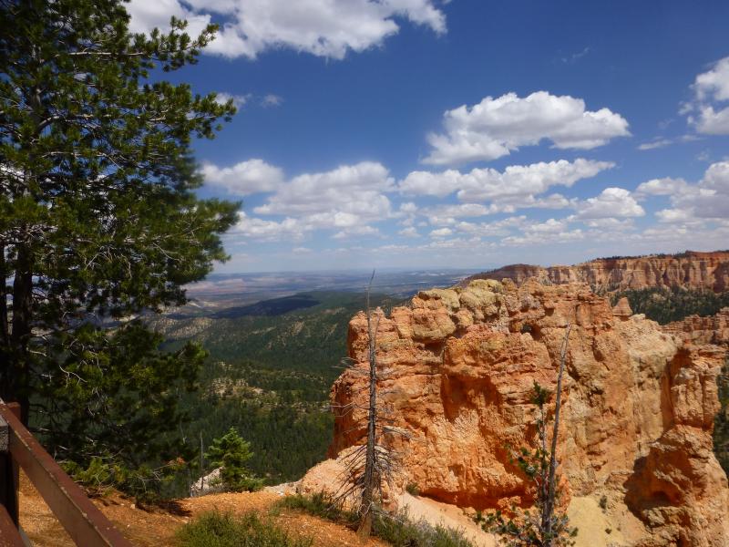 P1030957 Looking out over the canyon