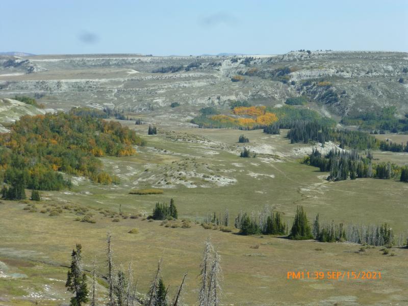 P1100165
another view from a different place along the drive