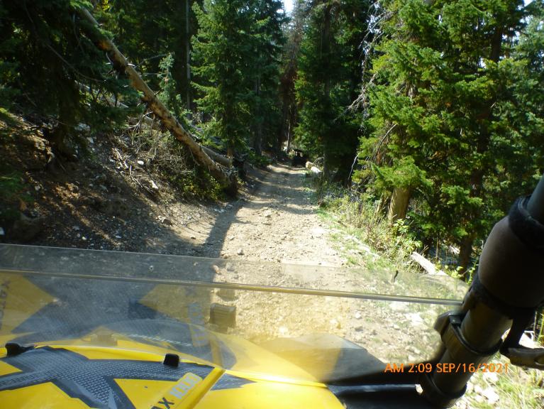 P1100188
beautiful narrow hill climbs.Loved the fresh pine smell