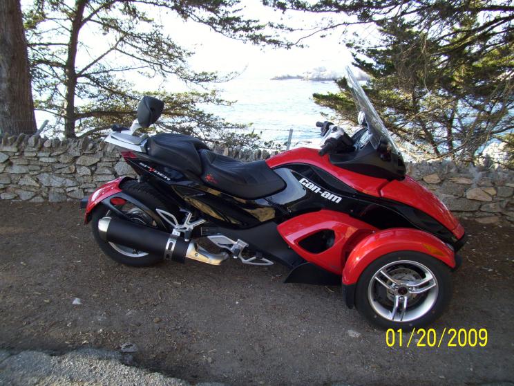 Pacific through the trees, CA Hwy 1