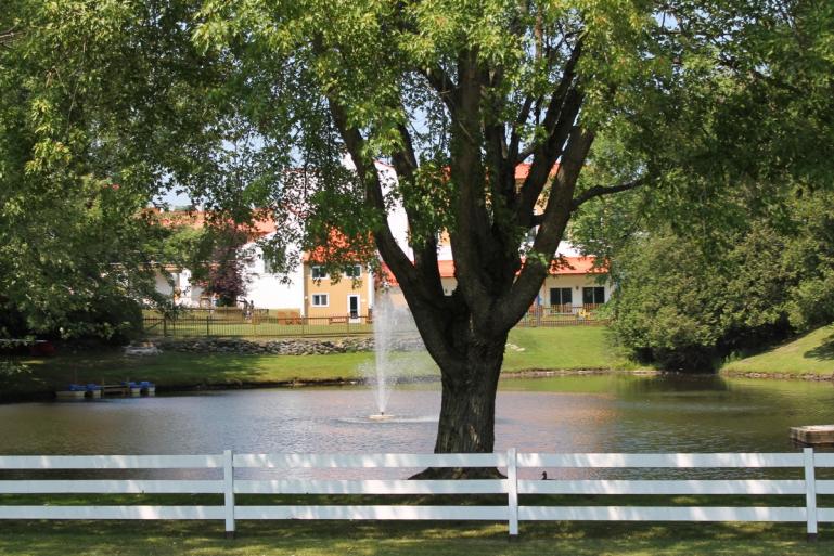 Parade: another great view