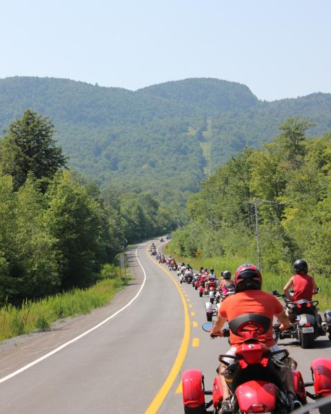 Parade: great view of the mountain